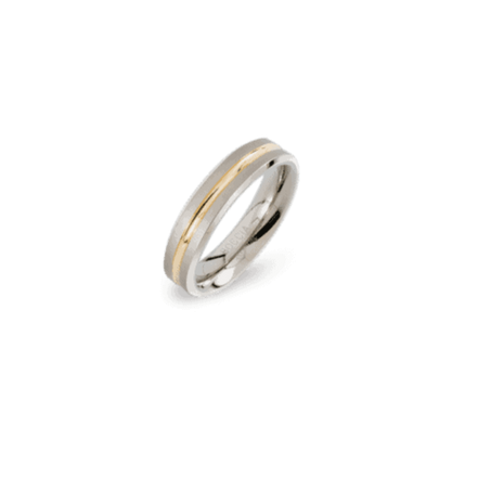 Ring Unisex Reintitan Goldplattiert