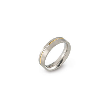 Ring Reintitan goldplattiert 5 Brillianten 0,025ct 01