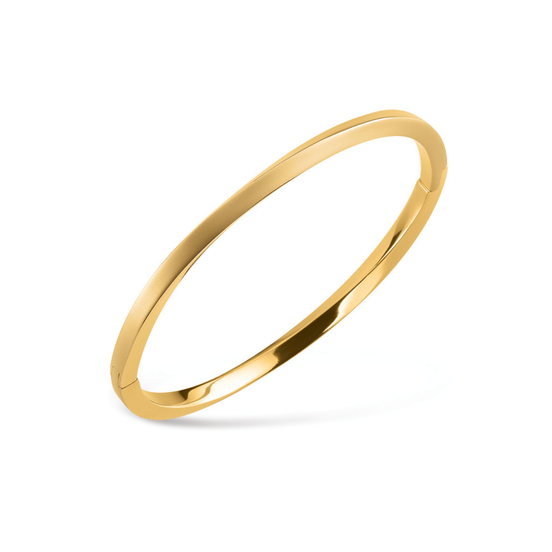 Armreif Reintitan goldplattiert 03011-03