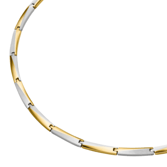 Collier Unisex Reintitan Bicolor 08076-02