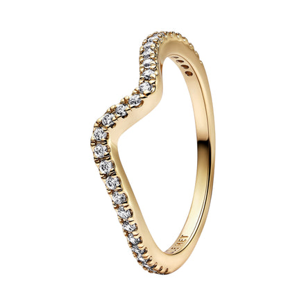 Ring Welle