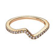 Ring Welle