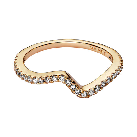 Ring Welle