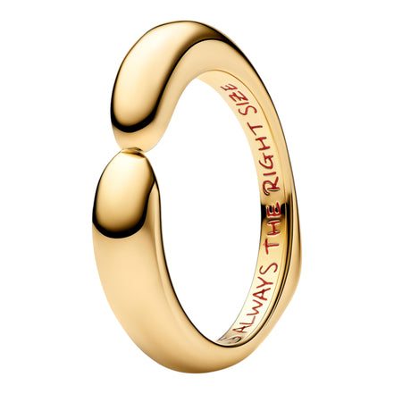 Disney Ring Winnie Pooh's Umarmung