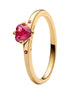 MOMENTS Ring Explosion der Liebe