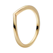 SHINE Ring leuchtender Wunsch