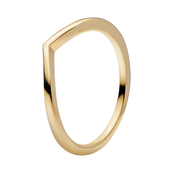 SHINE Ring leuchtender Wunsch