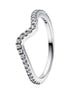 Ring Welle