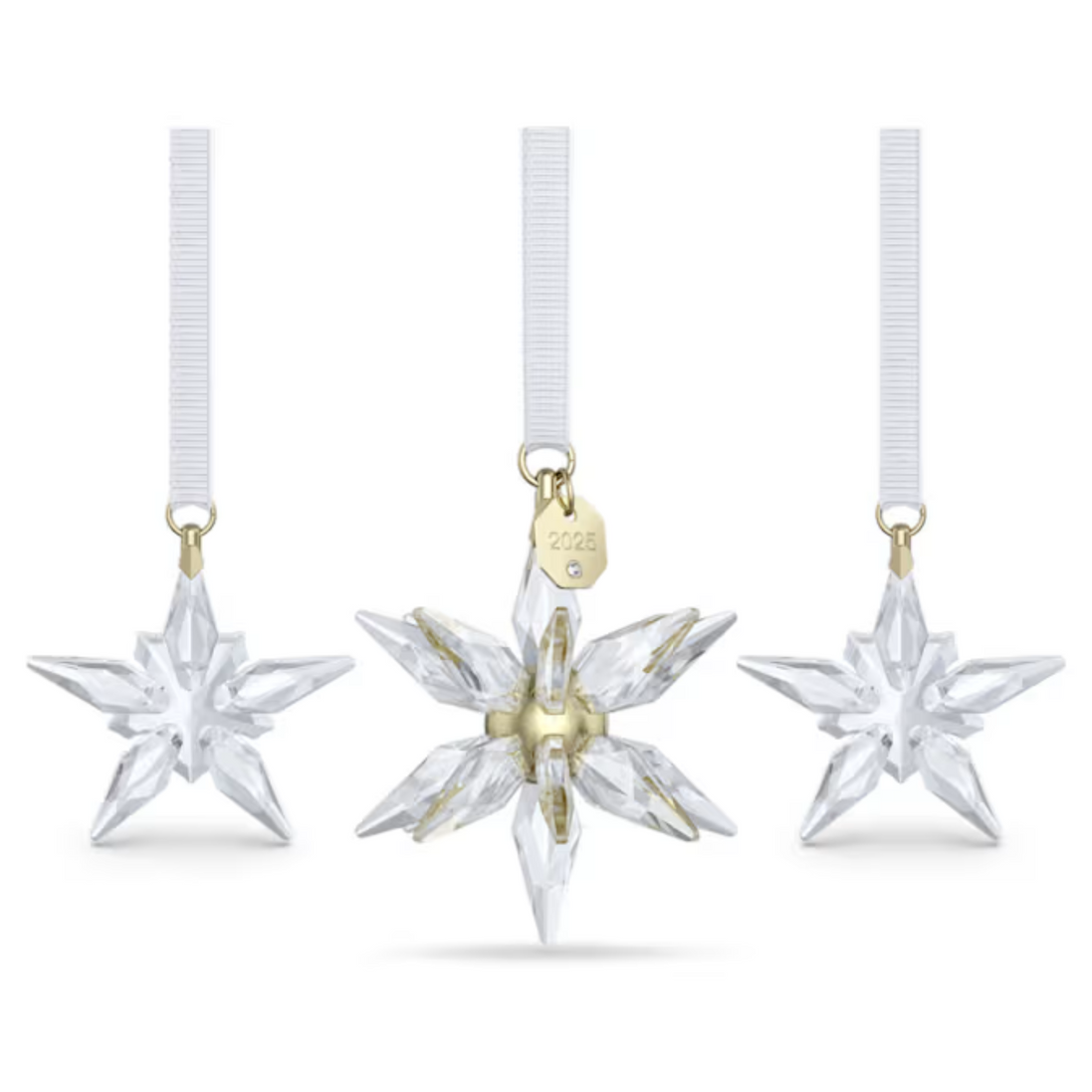 Ornament Annual Edition 2025 Stern Trio