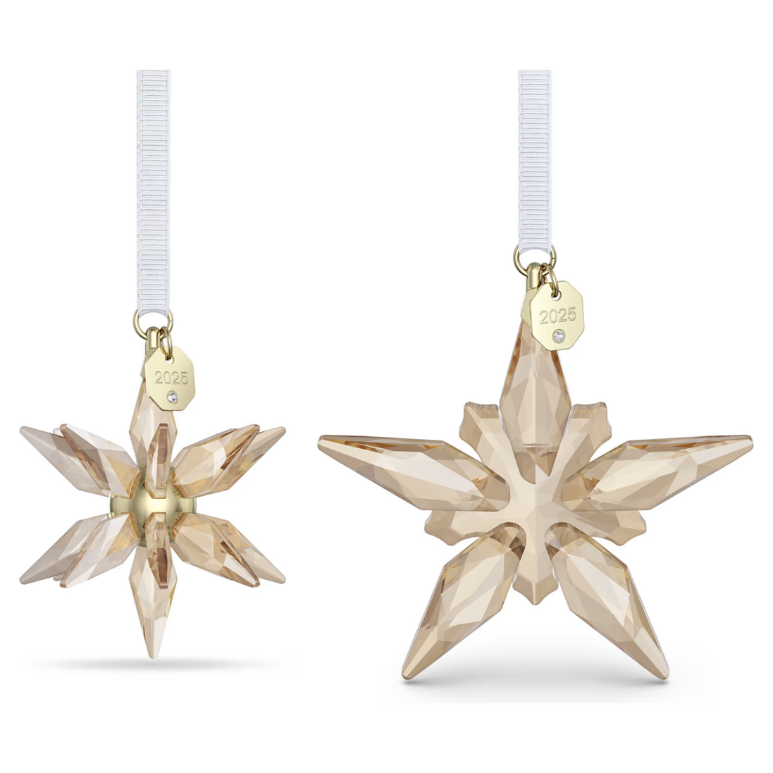 Ornament Annual Edition 2025 Stern Duo