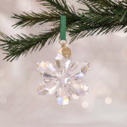 ORNAMENT Stern 2026