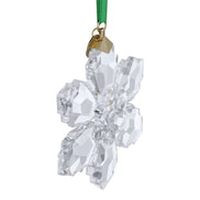 ORNAMENT Stern 2026