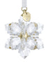 ORNAMENT Stern 3D 2026