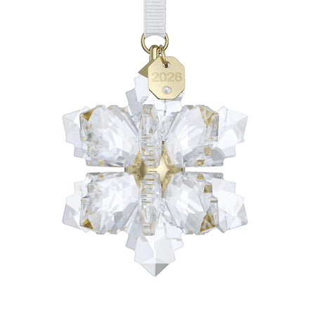 ORNAMENT Stern 3D 2026