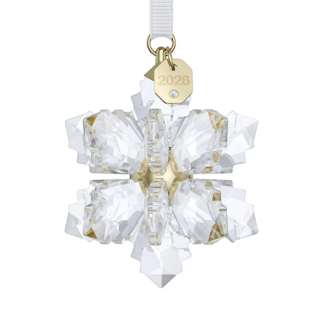 ORNAMENT Stern 3D 2026