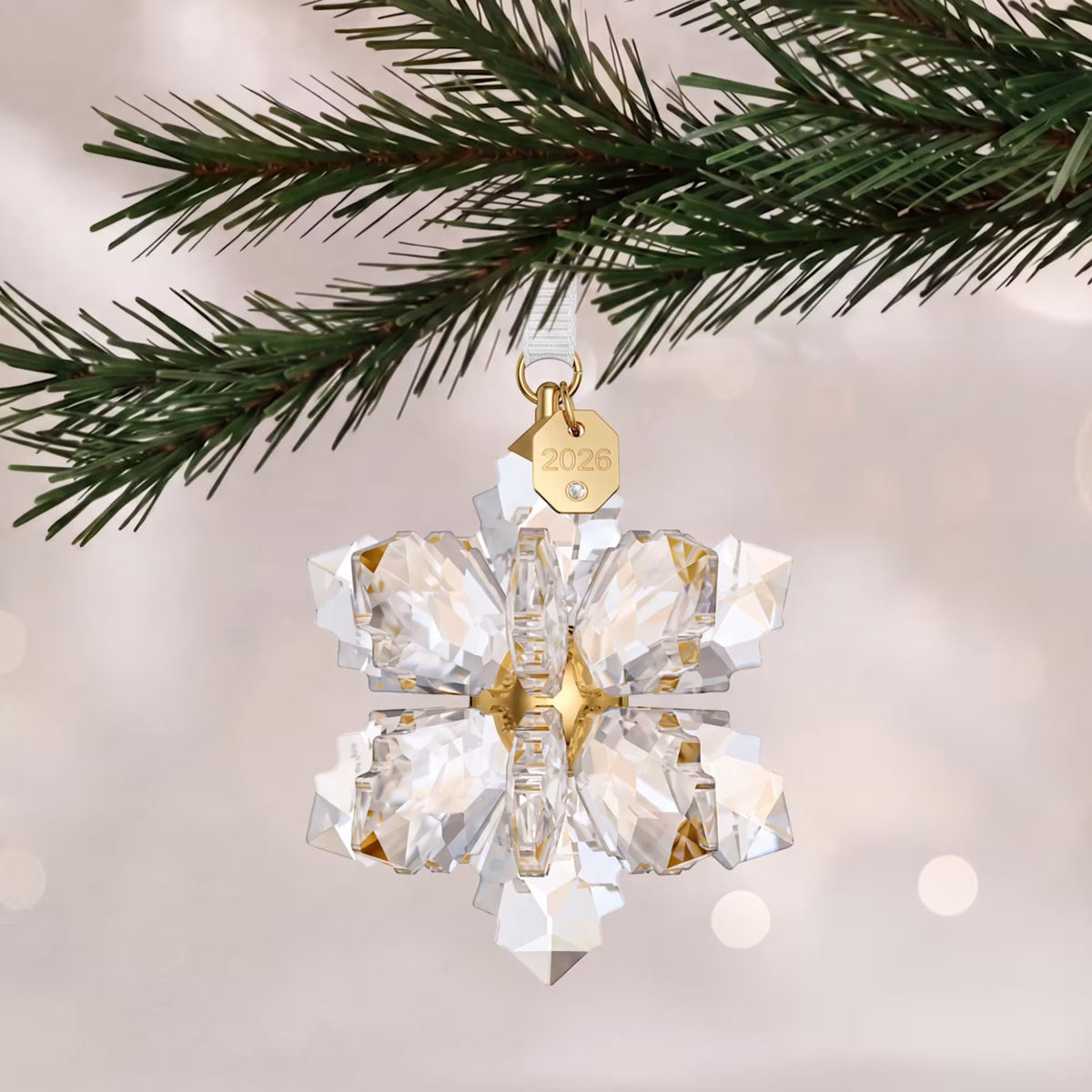 ORNAMENT Stern 3D 2026