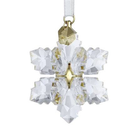 ORNAMENT Stern 3D 2026
