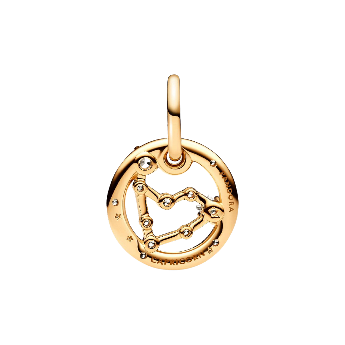 ME Charm Sternzeichen Steinbock Vergoldet