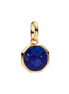 ME Charm Medaillon Vergoldet Gravierbar