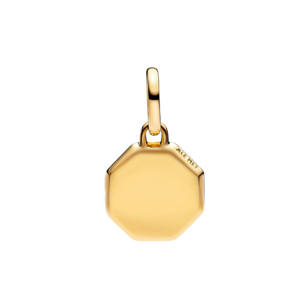ME Charm Medaillon Vergoldet Gravierbar