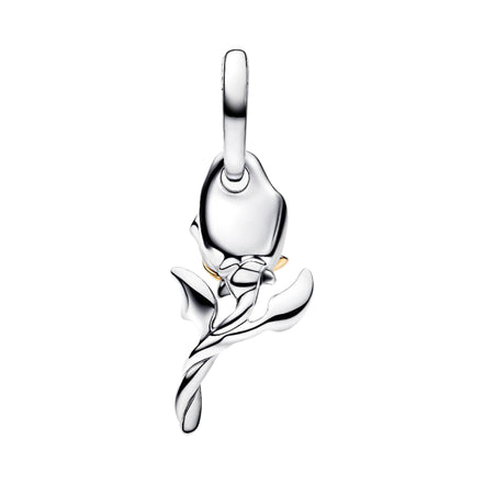 Belles verzauberte Rose Charm