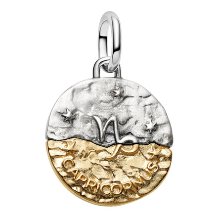 Medaillon Sternzeichen Steinbock Bicolor mit Zirkonia