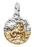 Medaillon Sternzeichen Steinbock Bicolor mit Zirkonia