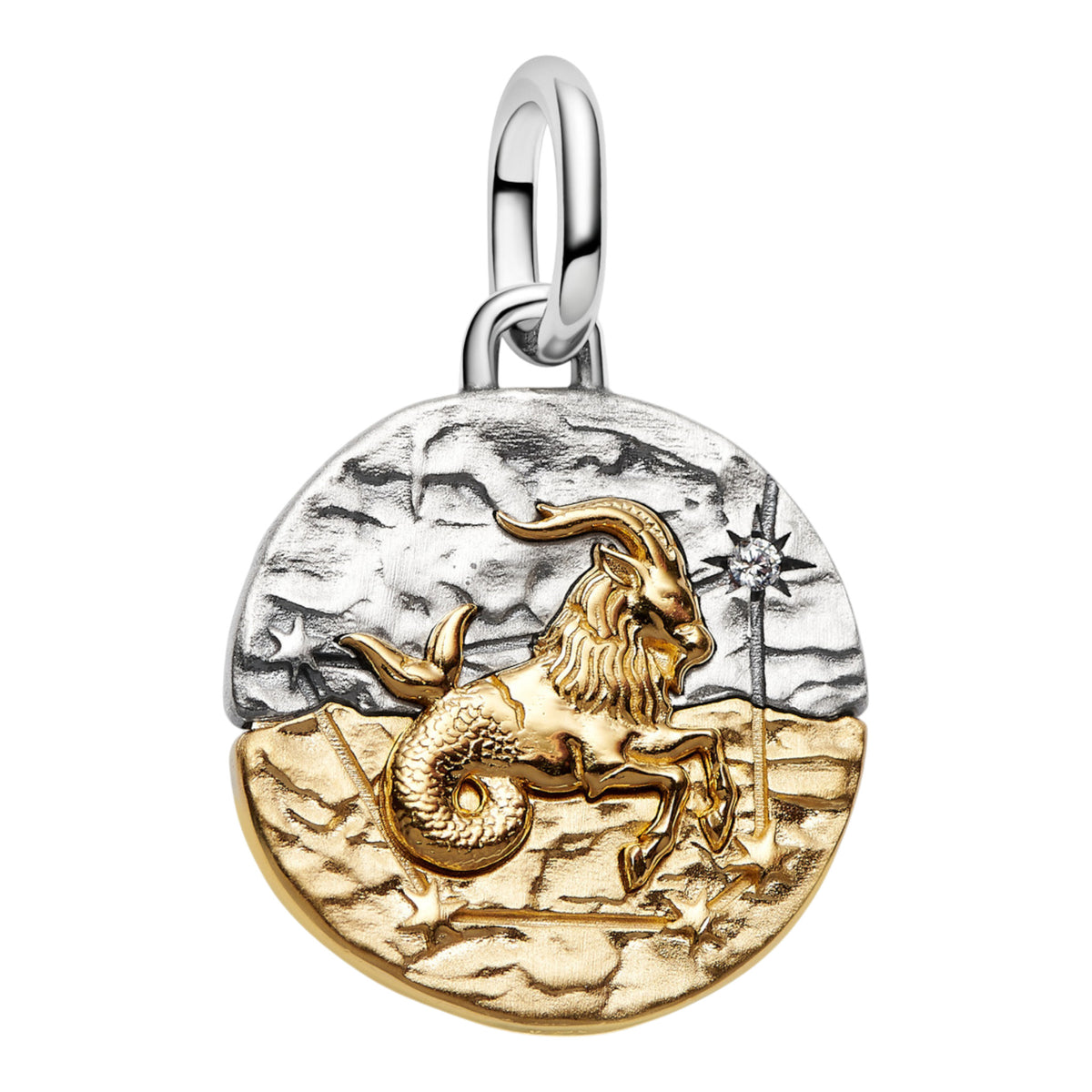 Medaillon Sternzeichen Steinbock Bicolor mit Zirkonia