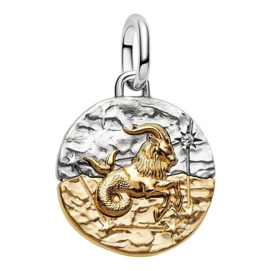 Medaillon Sternzeichen Steinbock Bicolor mit Zirkonia