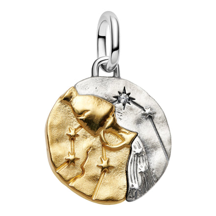 Medaillon Sternzeichen Wassermann Bicolor mit Zirkonia