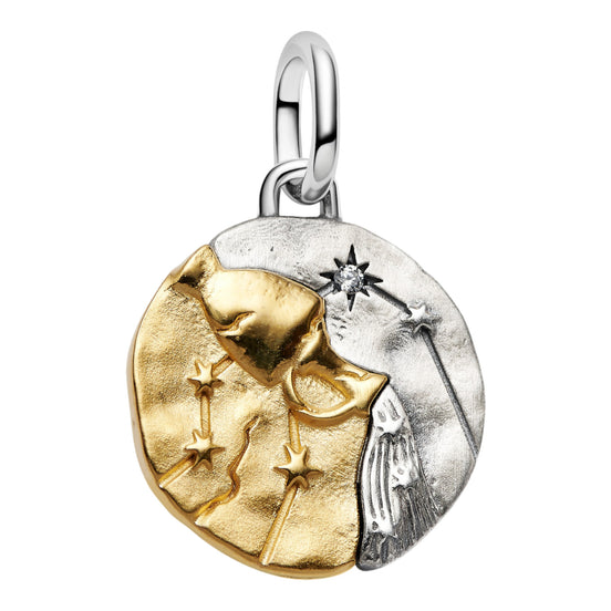 Medaillon Sternzeichen Wassermann Bicolor mit Zirkonia