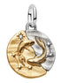 Medaillon Sternzeichen Fische Bicolor mit Zirkonia