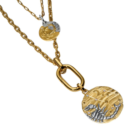Medaillon Sternzeichen Fische Bicolor mit Zirkonia