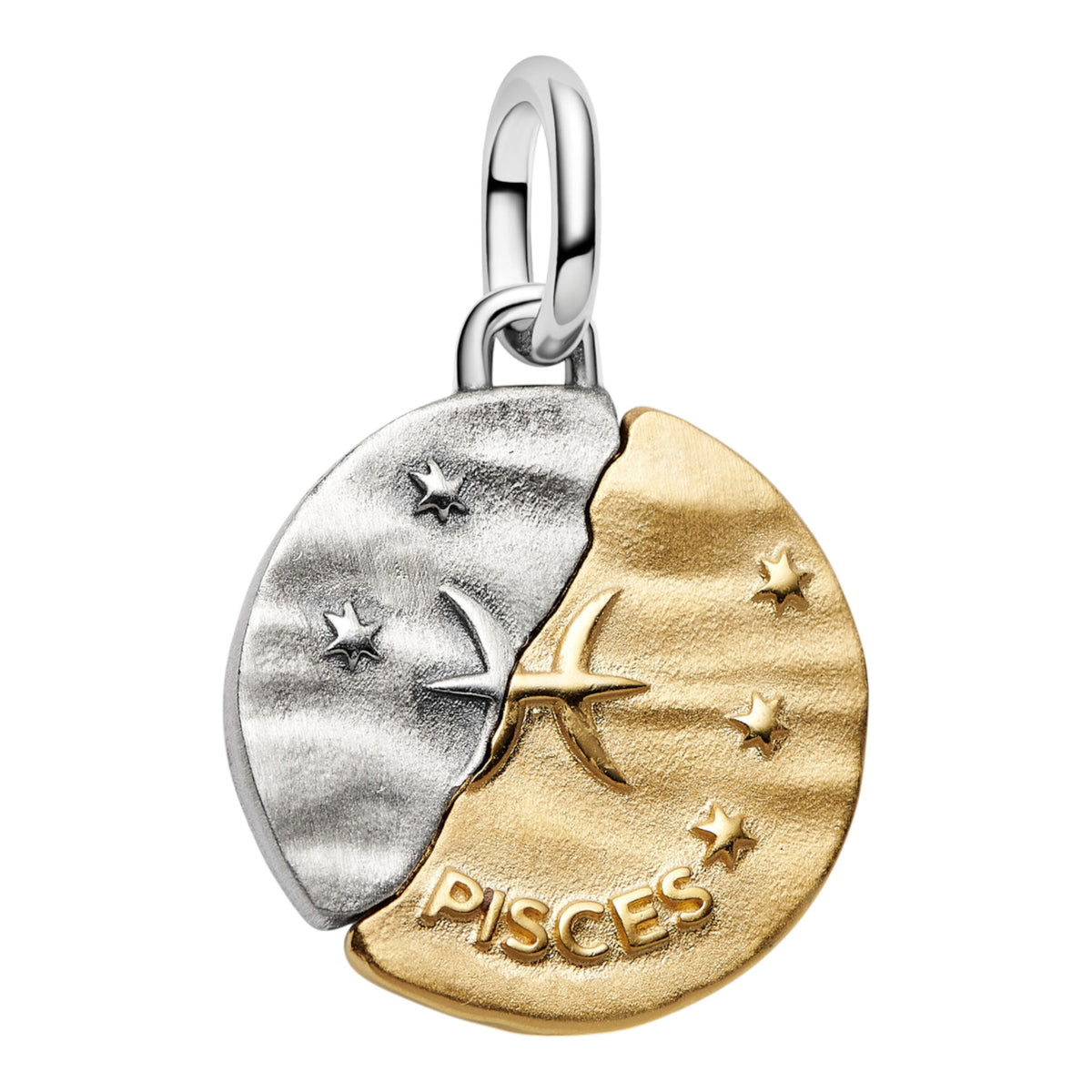 Medaillon Sternzeichen Fische Bicolor mit Zirkonia