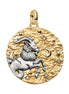 Medaillon Sternzeichen Steinbock Bicolor mit Zirkonia