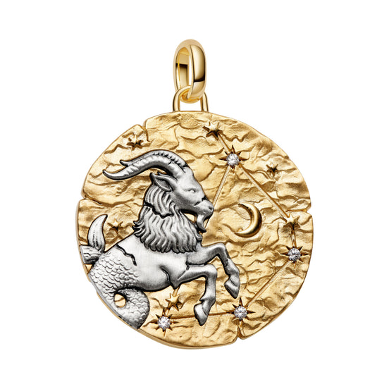 Medaillon Sternzeichen Steinbock Bicolor mit Zirkonia