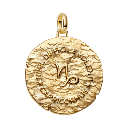 Medaillon Sternzeichen Steinbock Bicolor mit Zirkonia