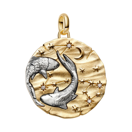 Medaillon Sternzeichen Fische Bicolor mit Zirkonia