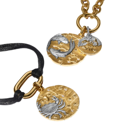Medaillon Sternzeichen Fische Bicolor mit Zirkonia