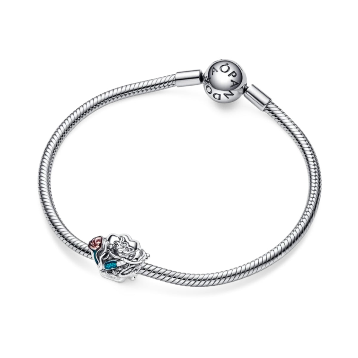 Charm Muschel