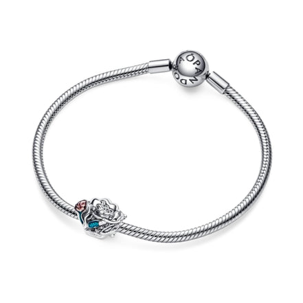 Charm Muschel