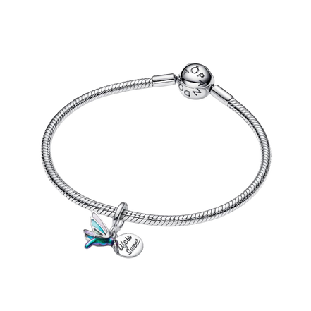 MOMENTS Charm Kolibri