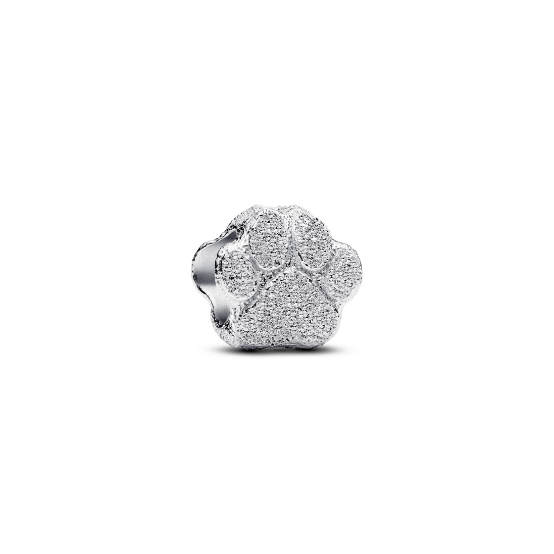 MOMENTS Charm Mini Pfote Textur