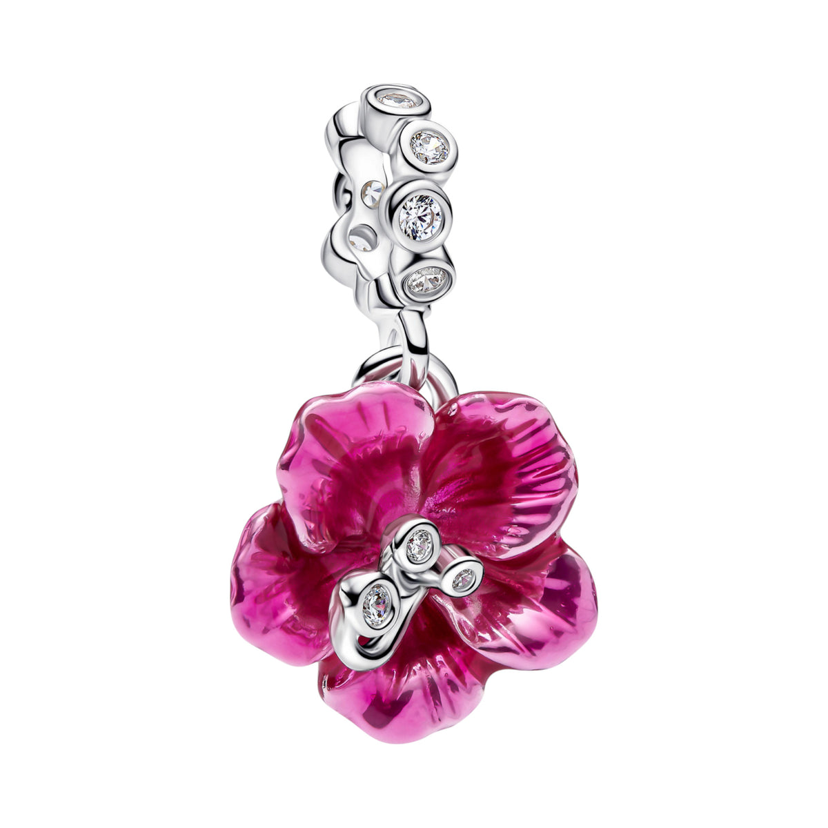 Hibiskus Charm