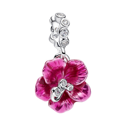Hibiskus Charm