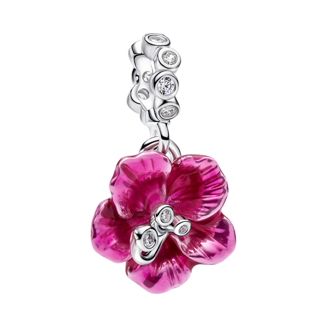 Hibiskus Charm