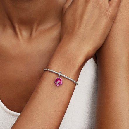 Hibiskus Charm