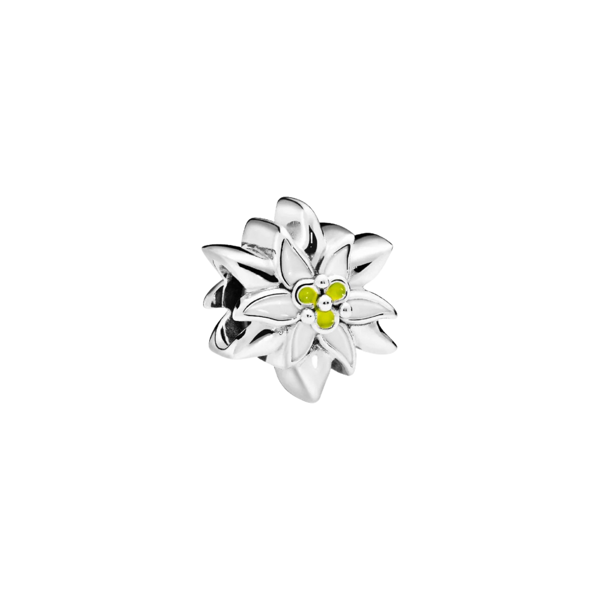 MOMENTS Charm Edelweiß Blume