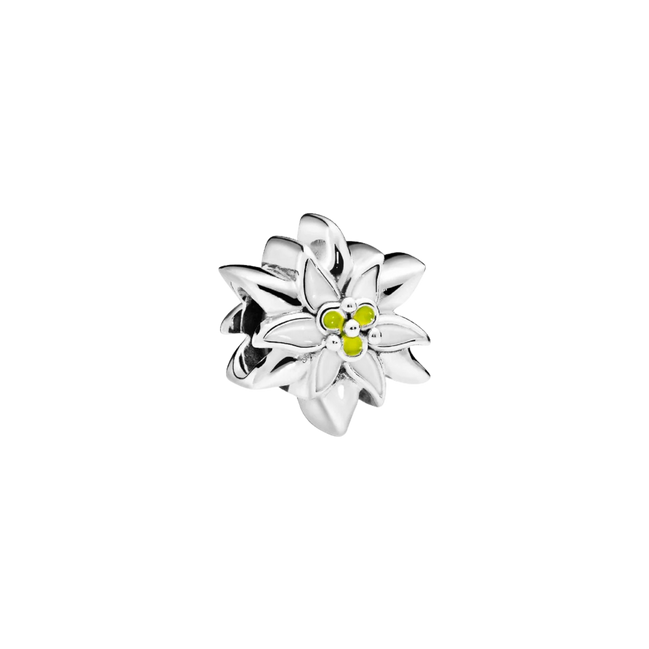 MOMENTS Charm Edelweiß Blume