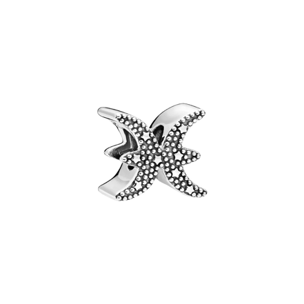 MOMENTS Charm Sternzeichen Fische Silber